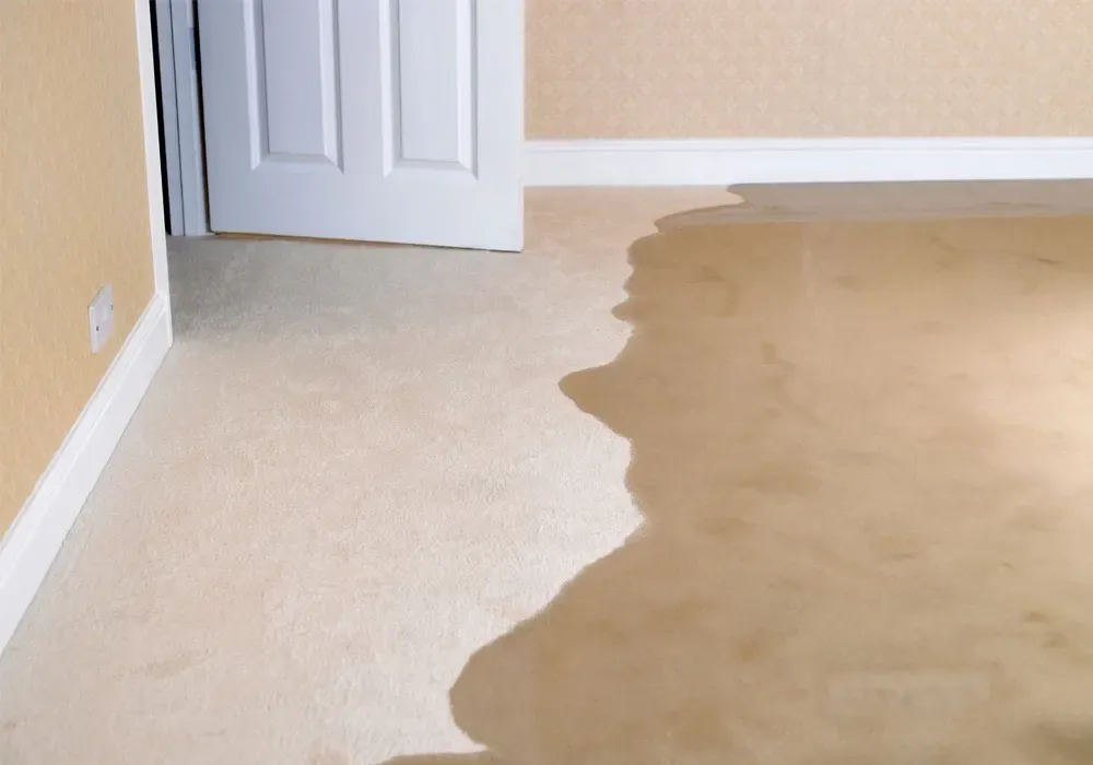 Storm Damage Restoration - Save The Day Restoration