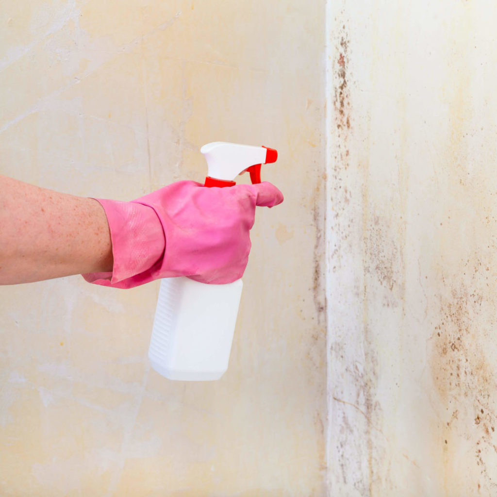 removing-mold-from-home