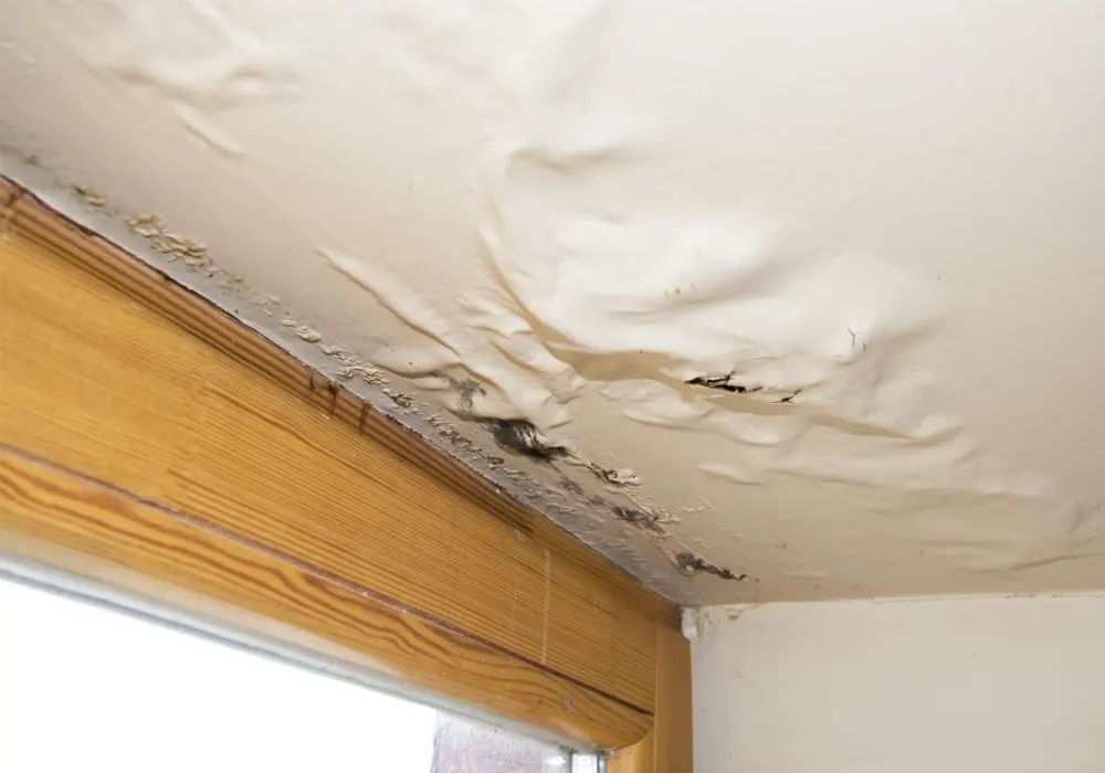 selling house with water damage on ceiling