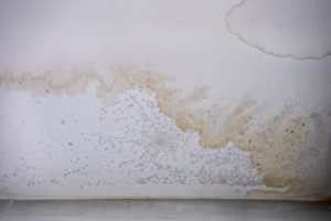 Mold on the ceiling.