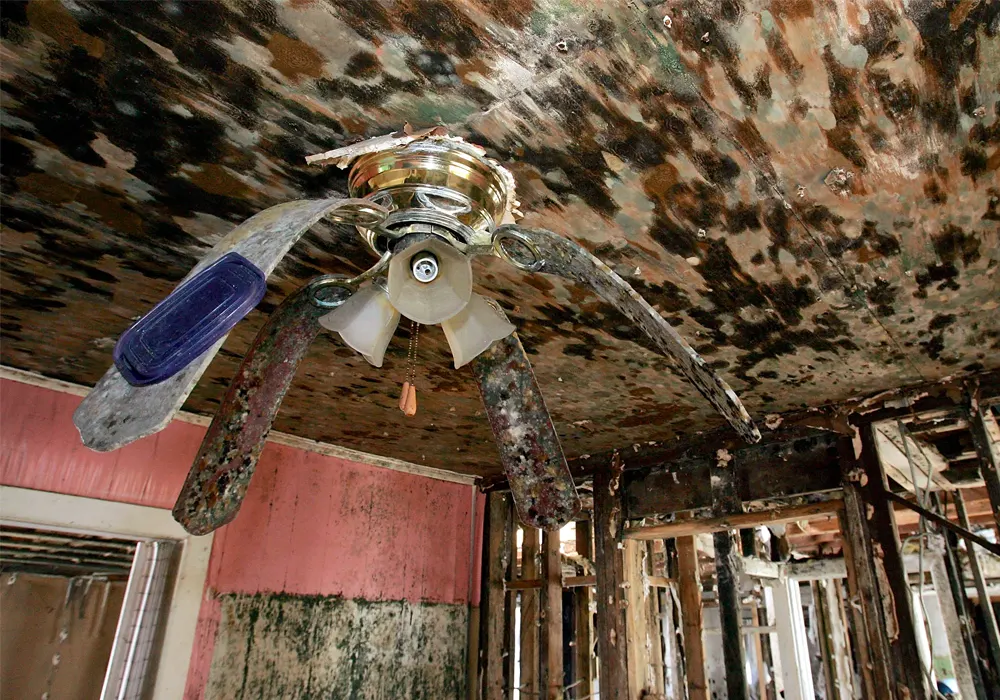 does flood cause mold in house